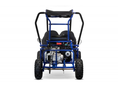 50cc buggy store